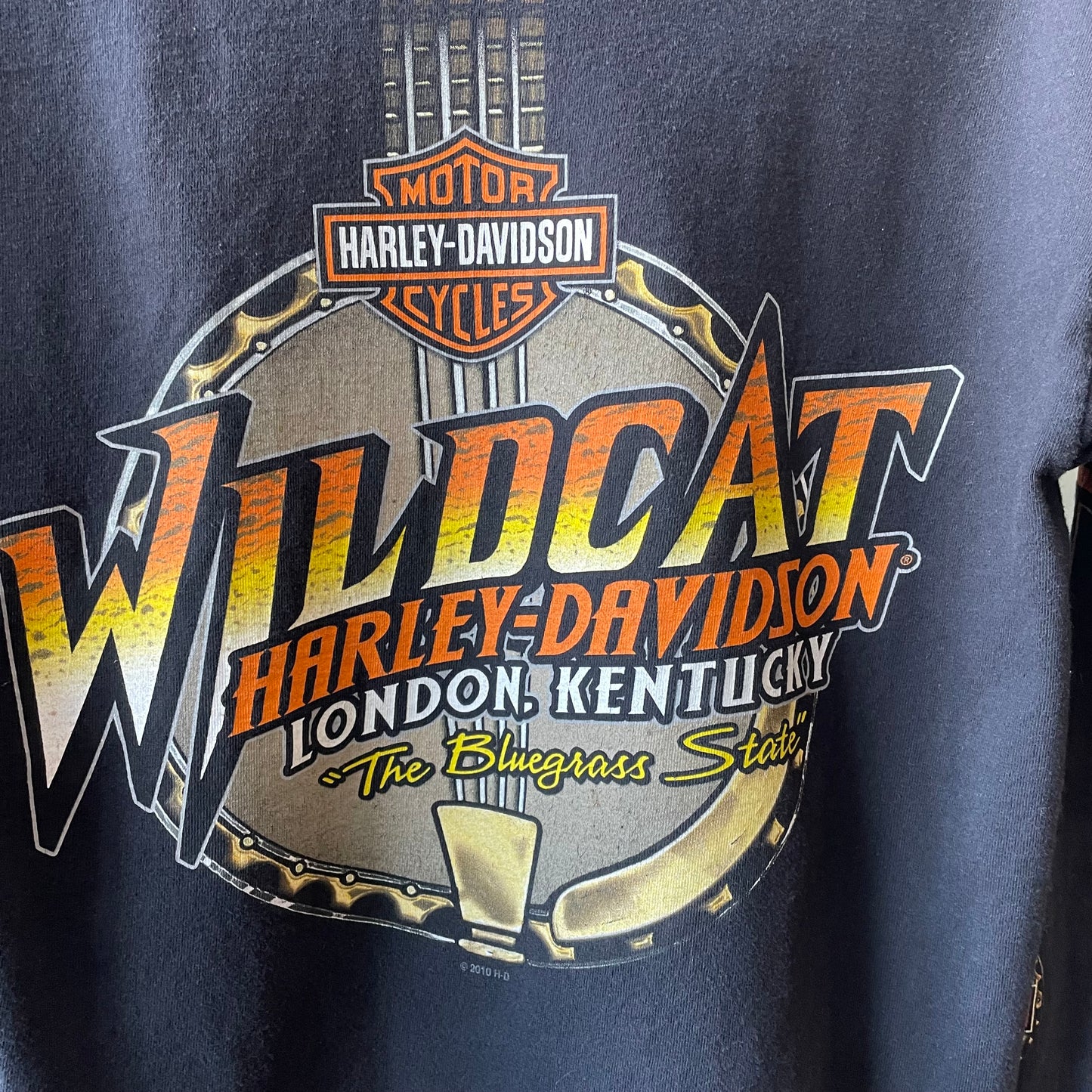 Harley Davidson Wildcat 2010 Long Sleeve | Medium