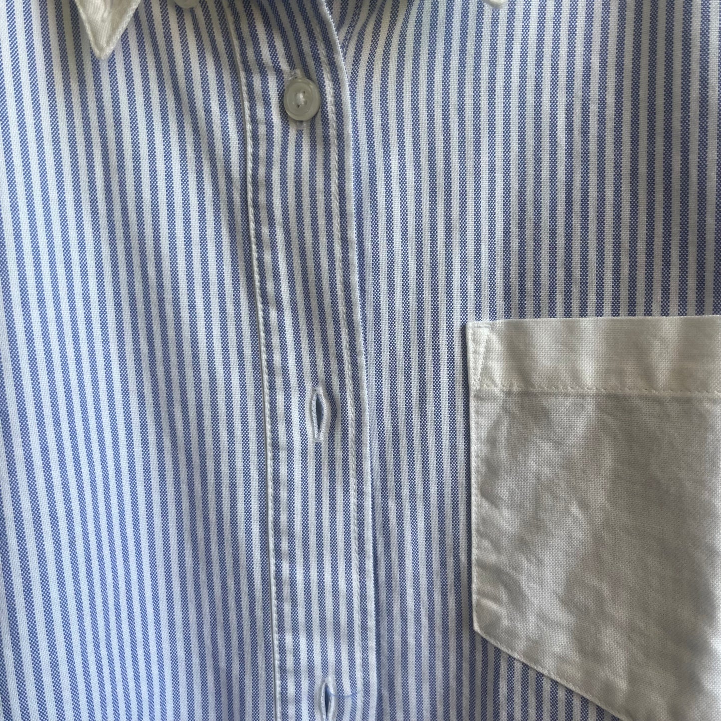 Blue Button Down L.L. Bean Shirt | Medium