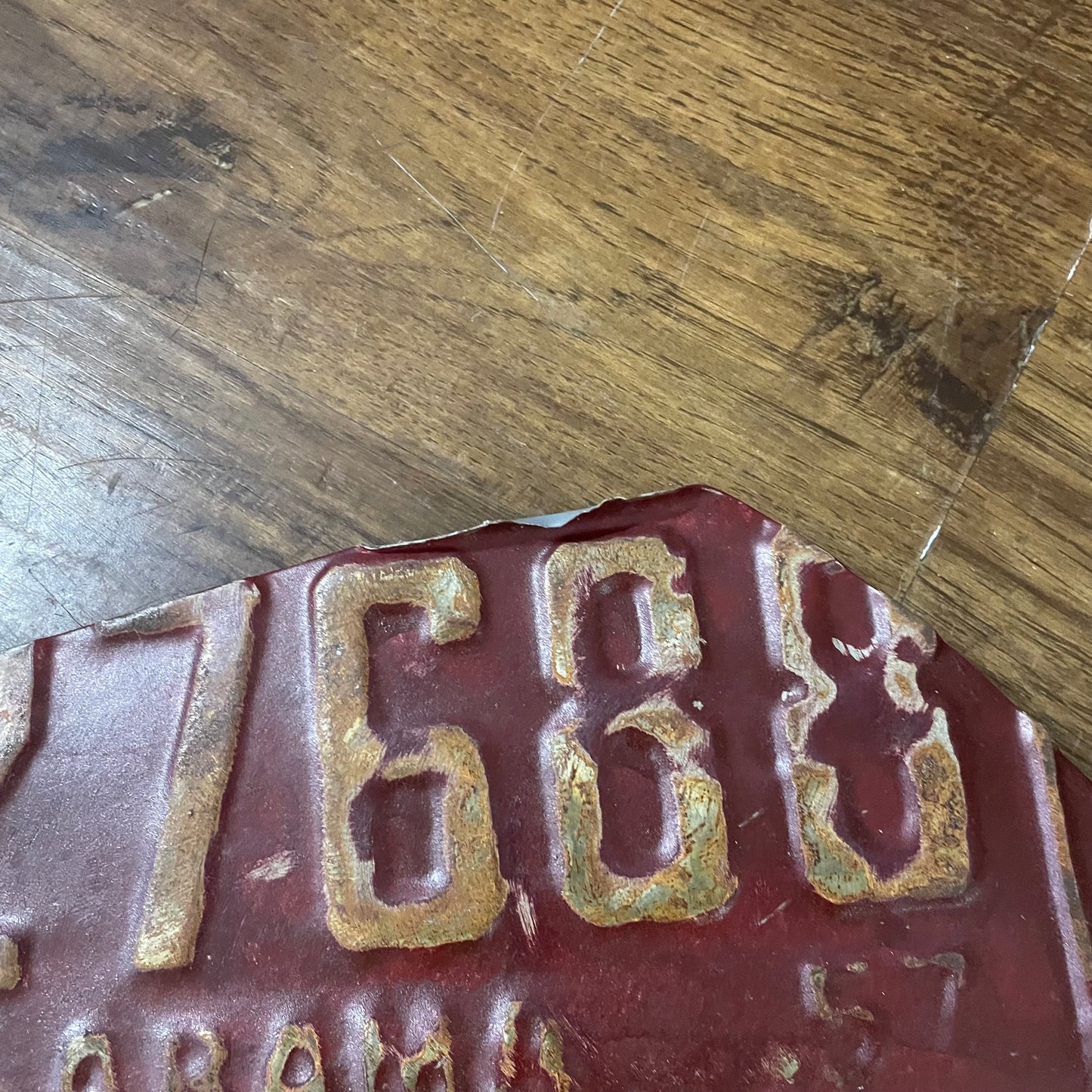 60" License Plate Fish