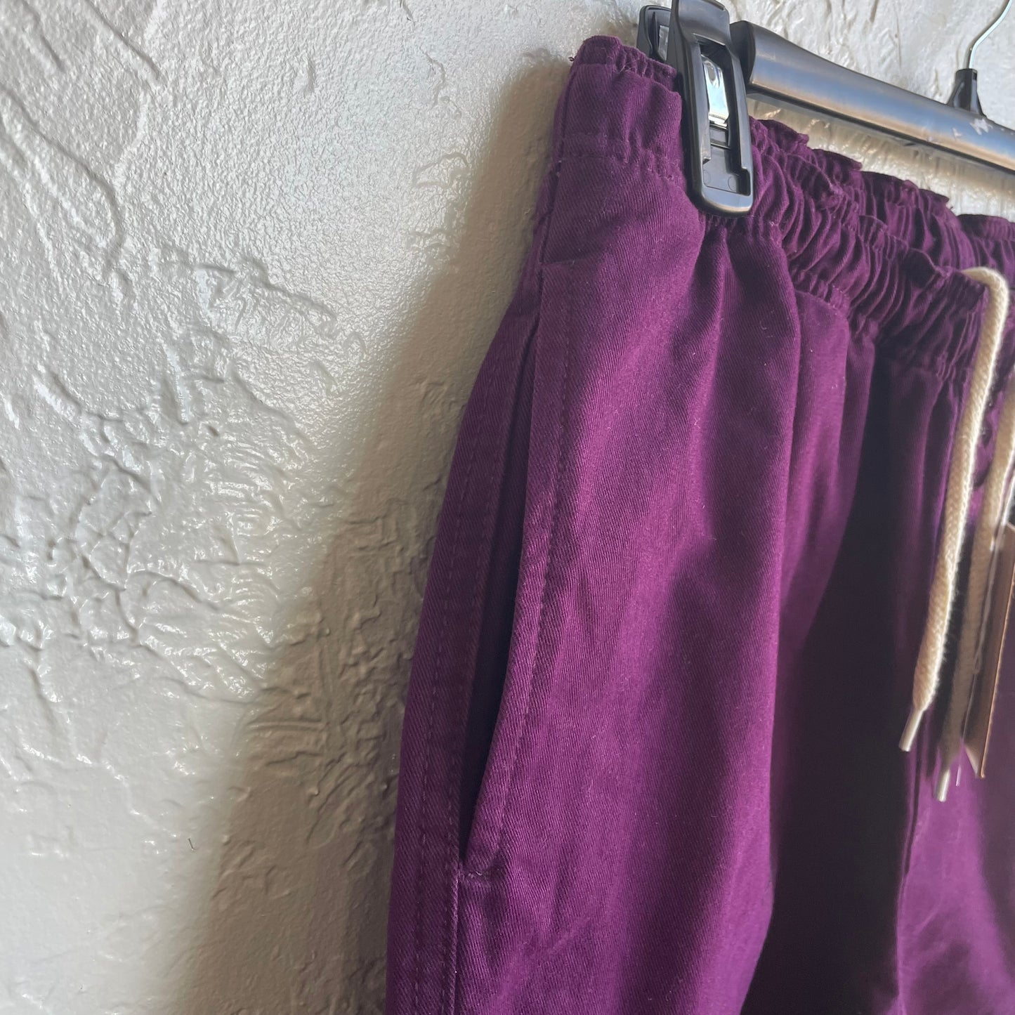 STUSSY Brushel Beach Shorts Plum NWT | Size Small