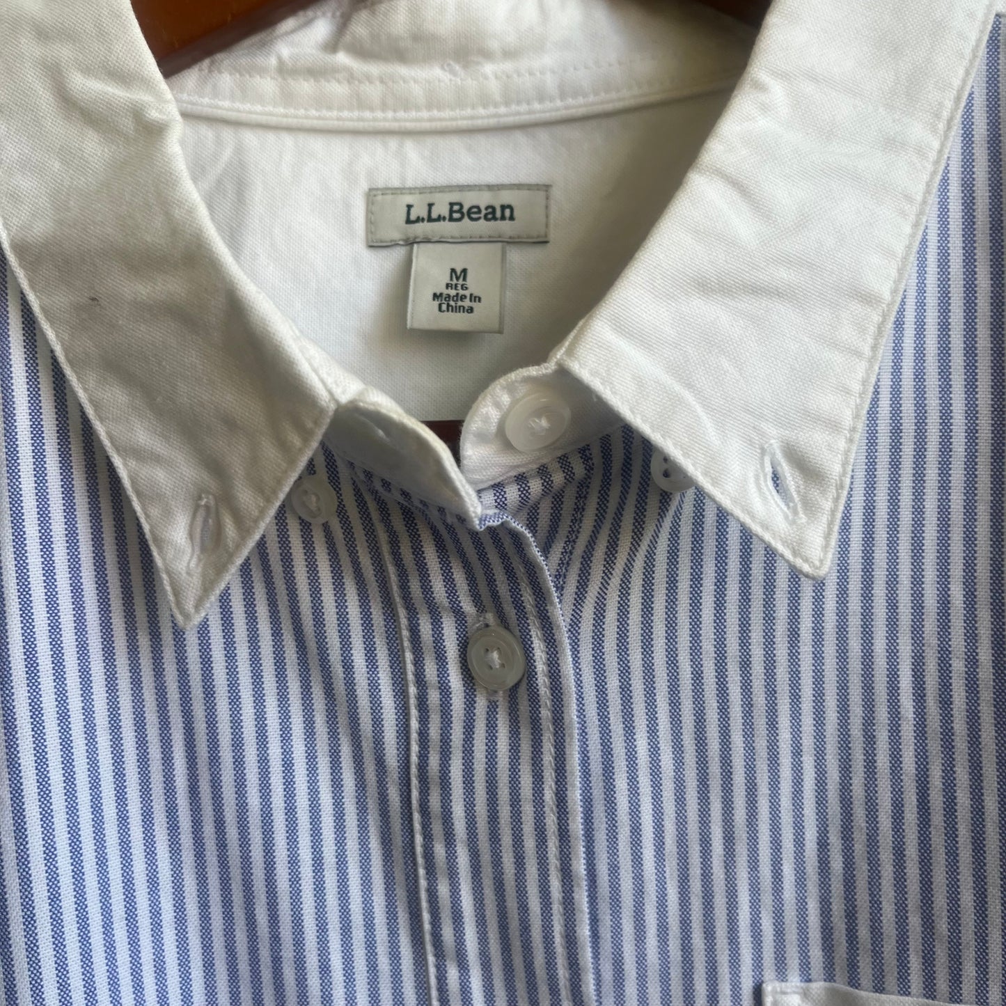Blue Button Down L.L. Bean Shirt | Medium