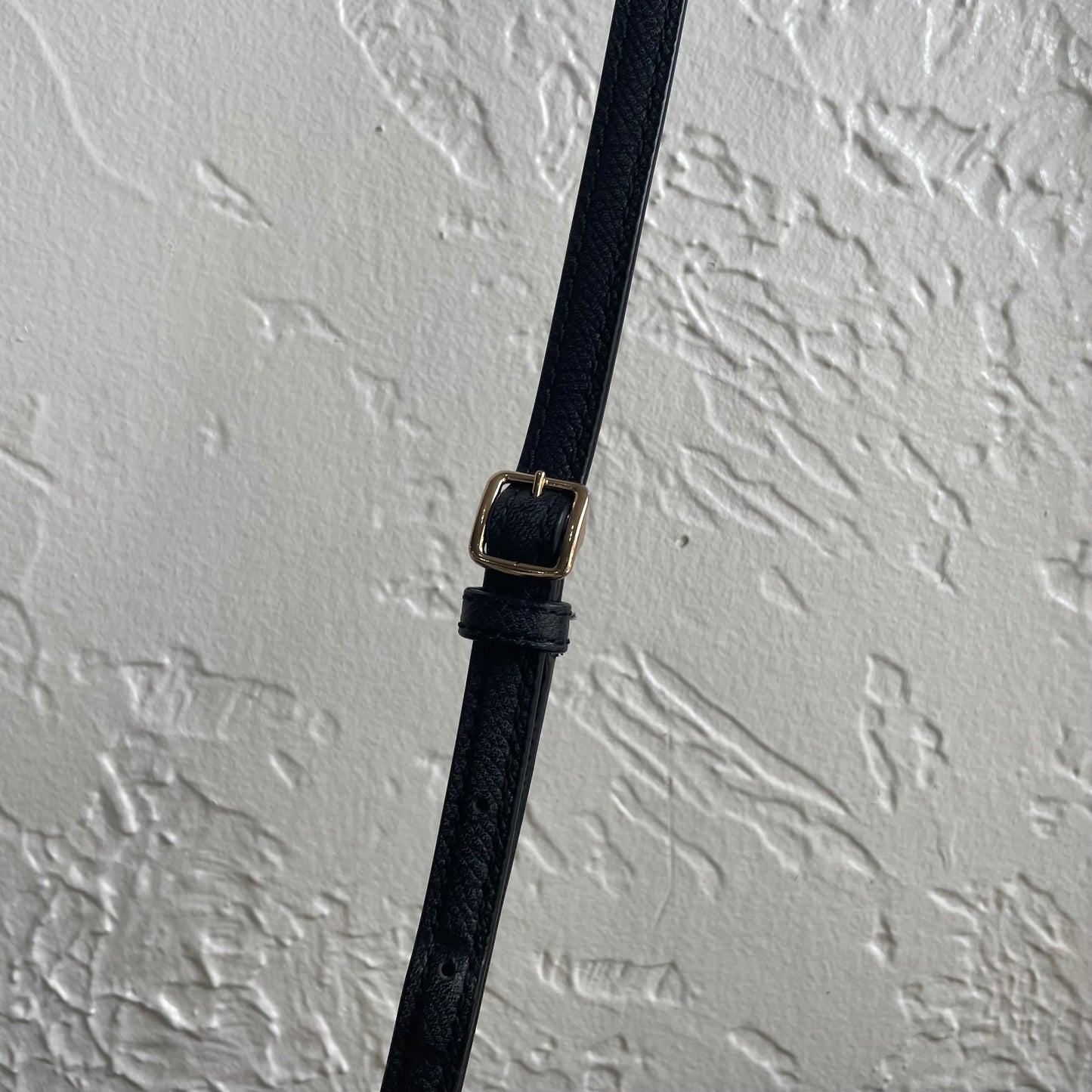 Coach x Baseman Wild Beast Print Crossbody