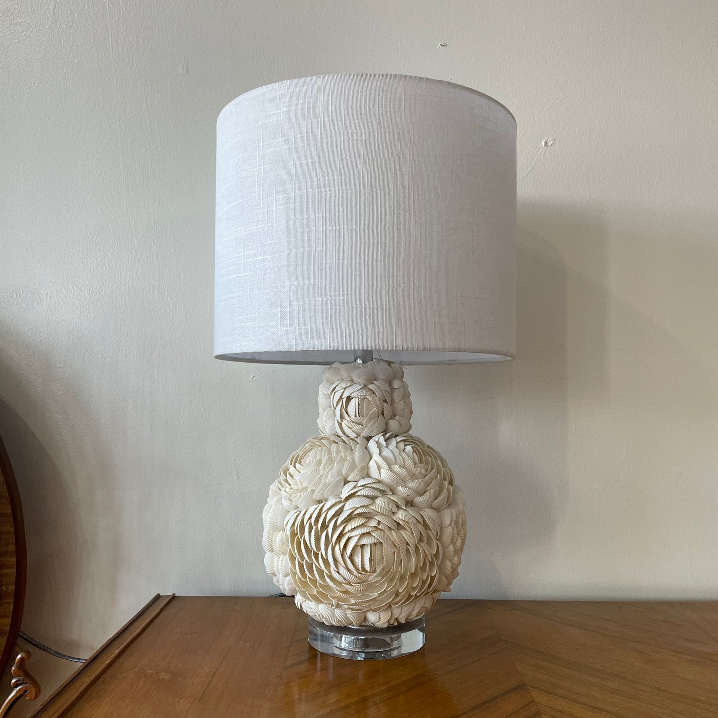 Jonathan Y Seashell Table Lamp