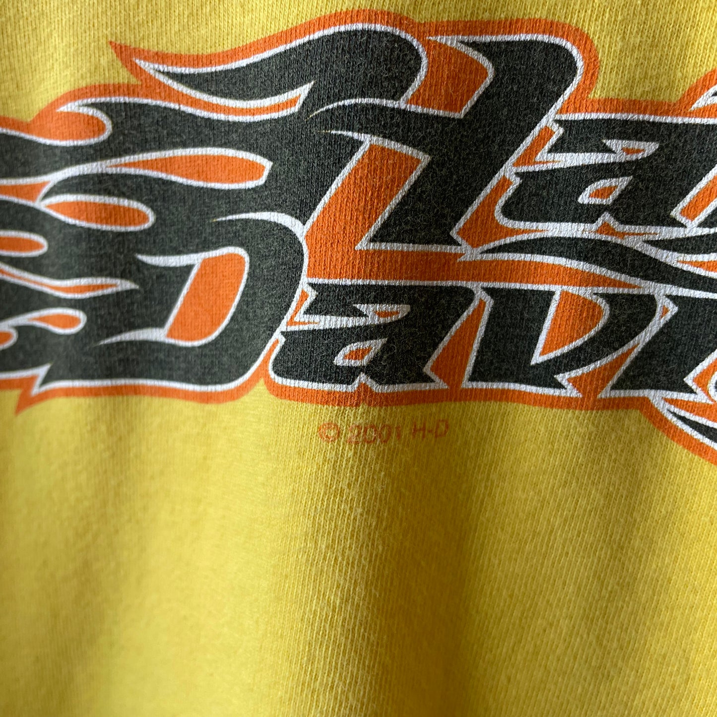 Flame Harley Davidson Y2K T-shirt | Large