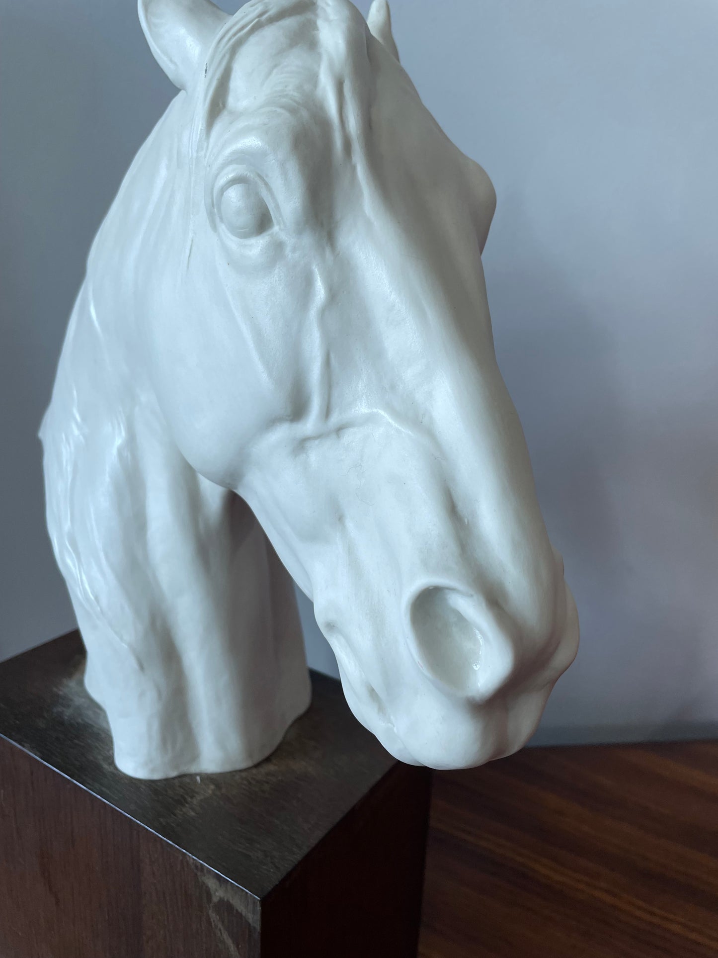 Albert Hussmann Rosenthal Porcelain Horse Head Bust