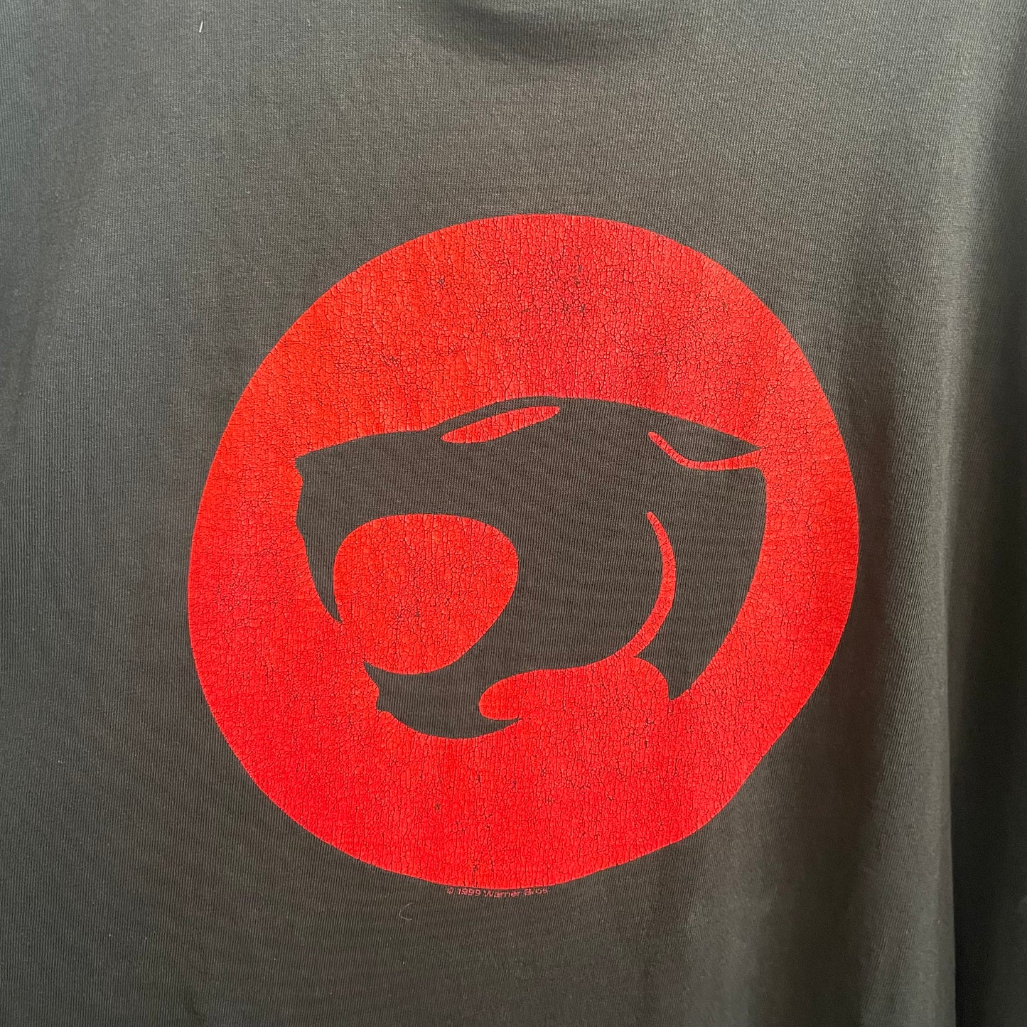 1999 Thundercats TV Show Tee | Large