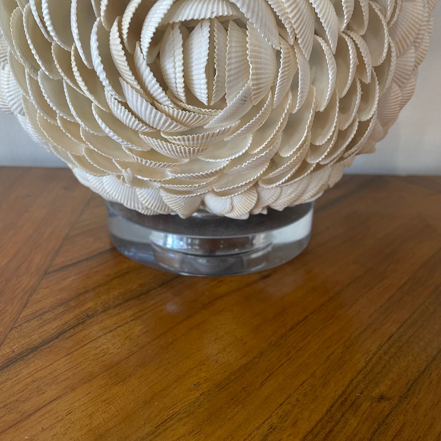 Jonathan Y Seashell Table Lamp