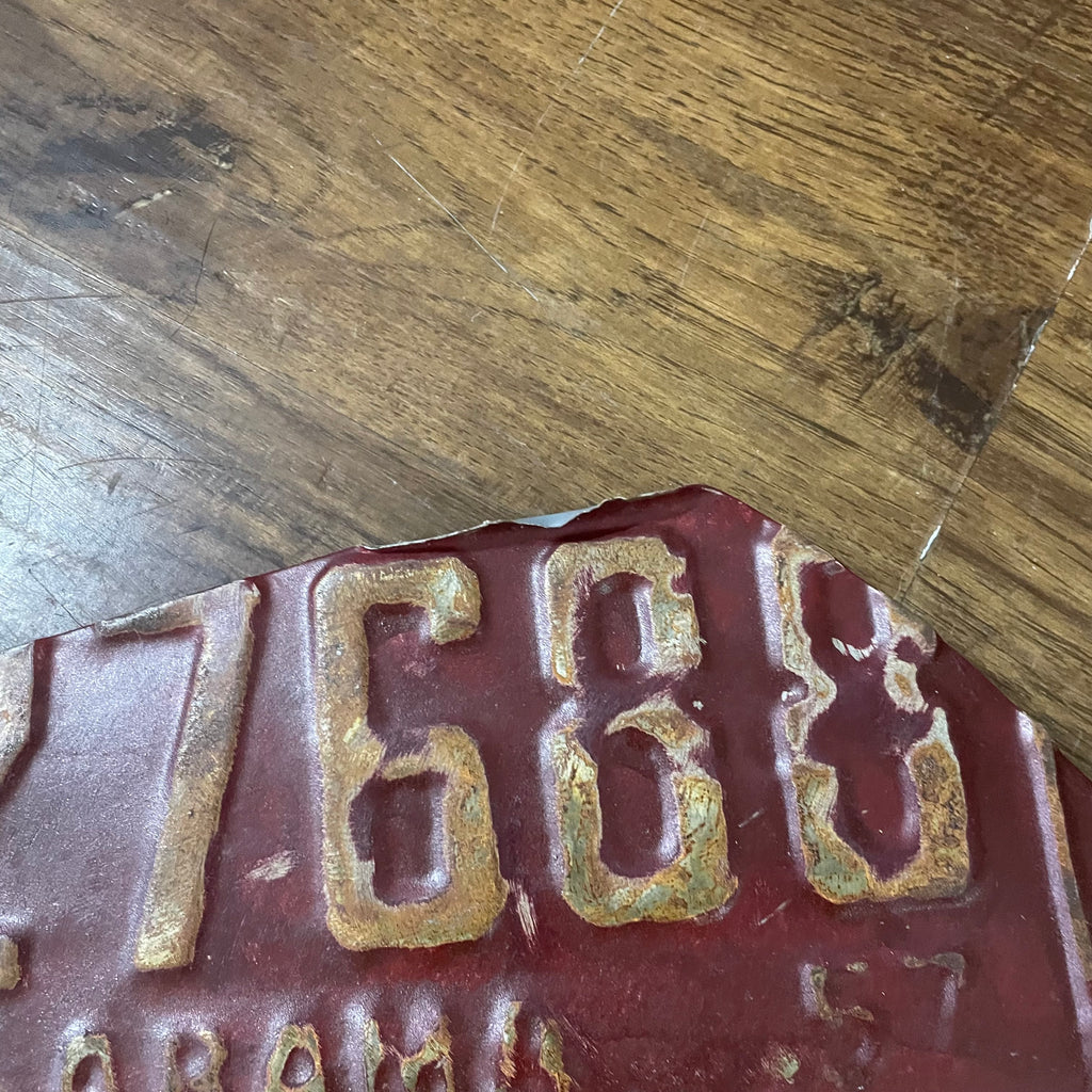 60" License Plate Fish