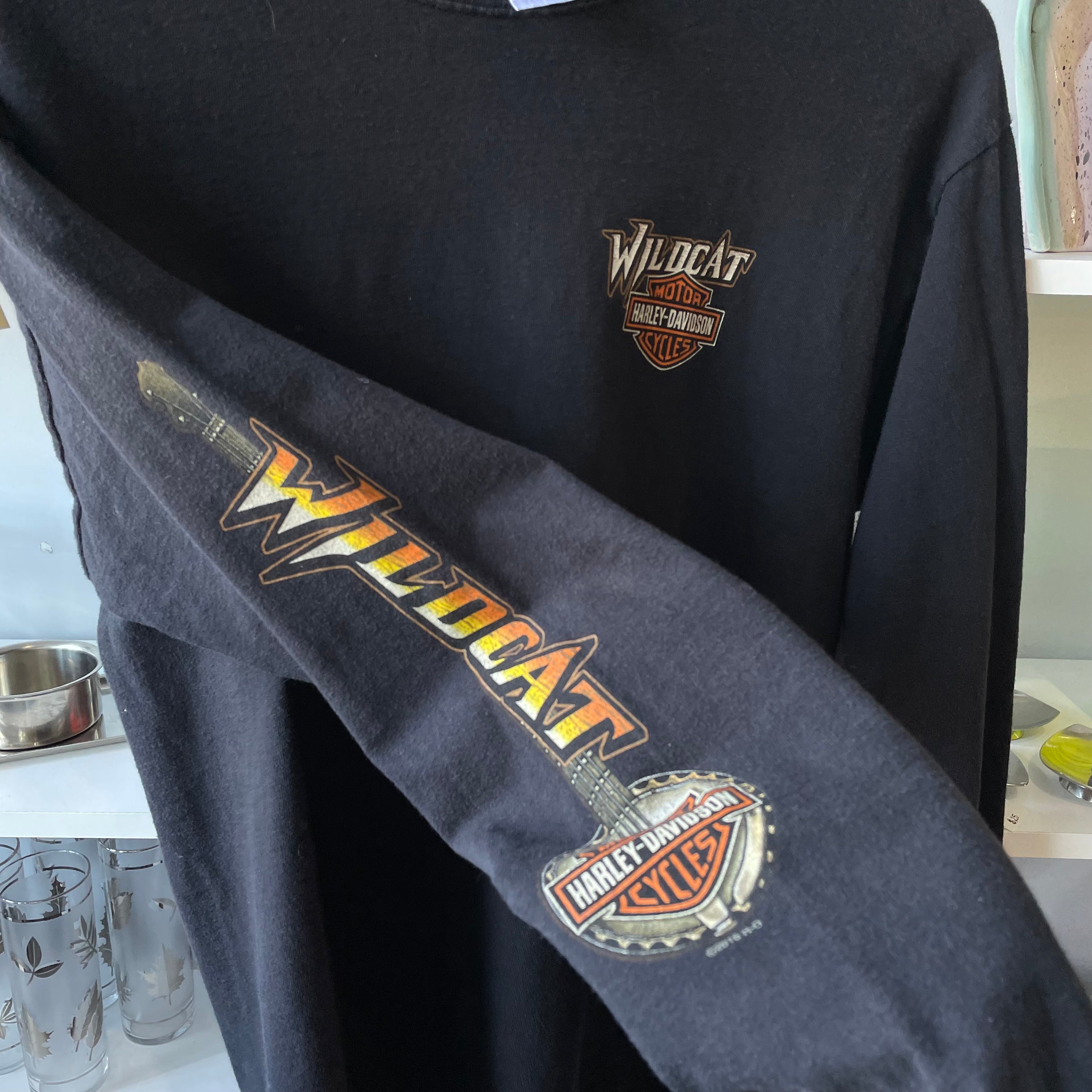 Harley Davidson Wildcat 2010 Long Sleeve | Medium