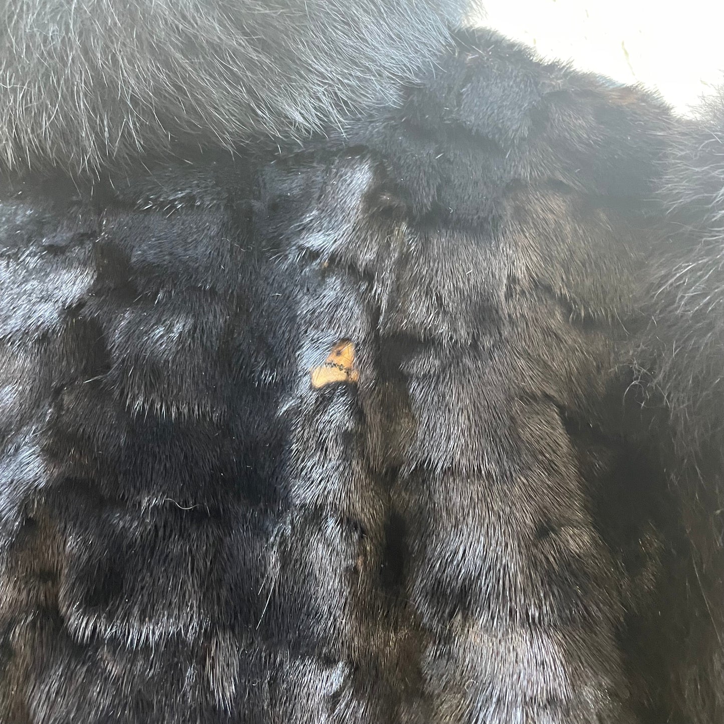 Saga Mink Vest and Fox Collar | Size XL