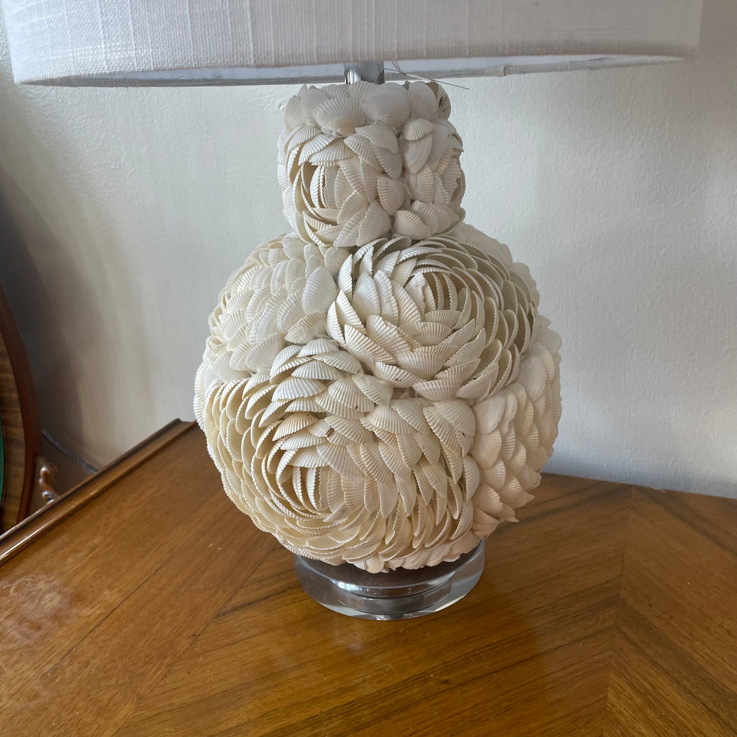 Jonathan Y Seashell Table Lamp